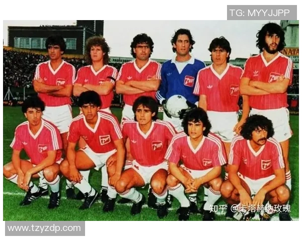 辉煌岁月中的乌拉圭足球传奇明星们的故事与成就回顾