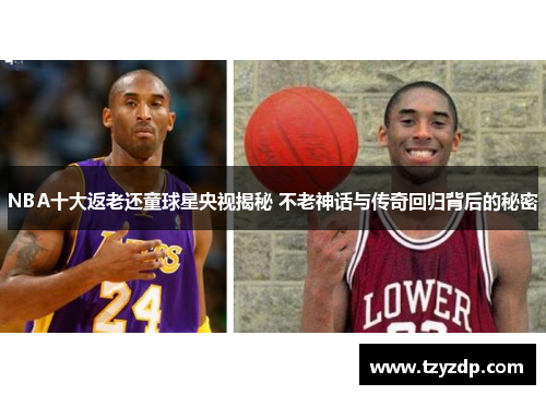 NBA十大返老还童球星央视揭秘 不老神话与传奇回归背后的秘密