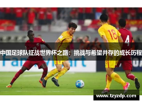 中国足球队征战世界杯之路：挑战与希望并存的成长历程