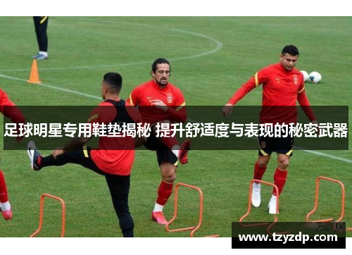 足球明星专用鞋垫揭秘 提升舒适度与表现的秘密武器