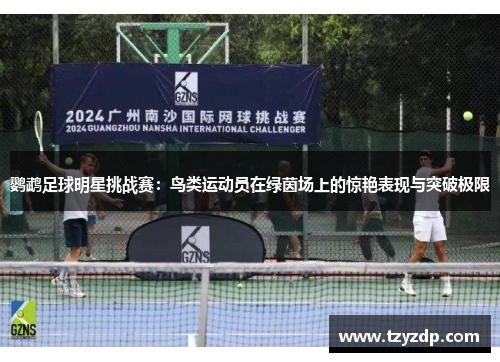 鹦鹉足球明星挑战赛：鸟类运动员在绿茵场上的惊艳表现与突破极限