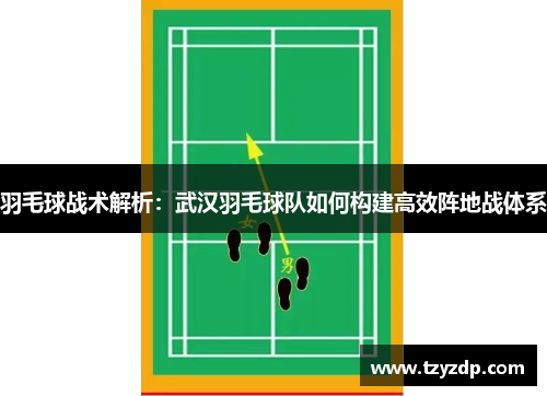 羽毛球战术解析：武汉羽毛球队如何构建高效阵地战体系