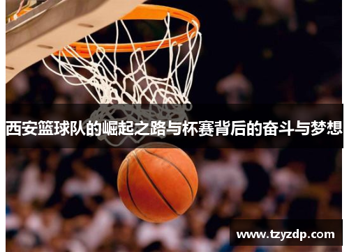 西安篮球队的崛起之路与杯赛背后的奋斗与梦想