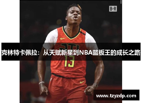 克林特卡佩拉：从天赋新星到NBA篮板王的成长之路