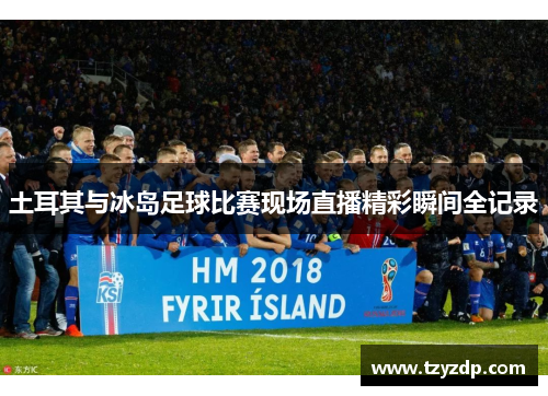 土耳其与冰岛足球比赛现场直播精彩瞬间全记录